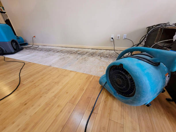 Professional Structural Drying technician working in Empire, CA